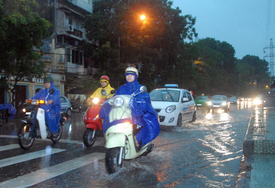Một góc nhìn khác lạ về con cá voi. (Nguồn: National Geographic Traveler) 