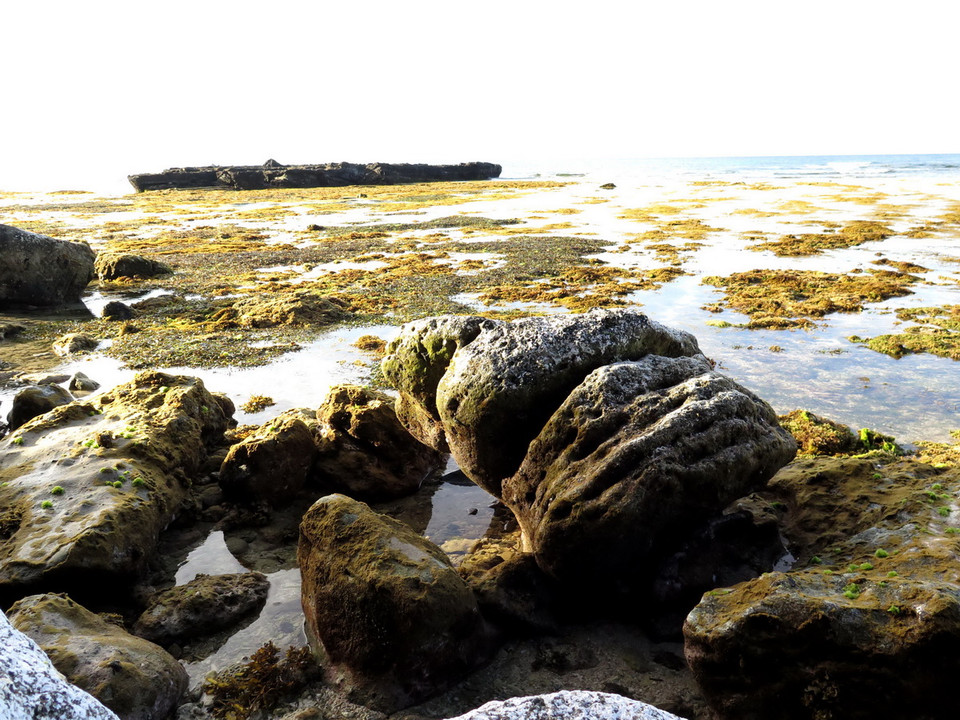 Những dấu tích nham thạch dưới đáy biển lộ thiên khi thủy triều rút nhấp nhô với hình thù khá kỳ lạ. (Ảnh: Phước Ngọc/TTXVN) 