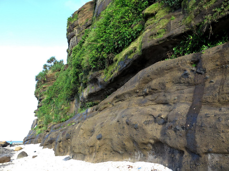 Thảm thực vật xanh tươi trên những vách đá dựng đứng tràn đầy sức sống. (Ảnh: Phước Ngọc/TTXVN) 