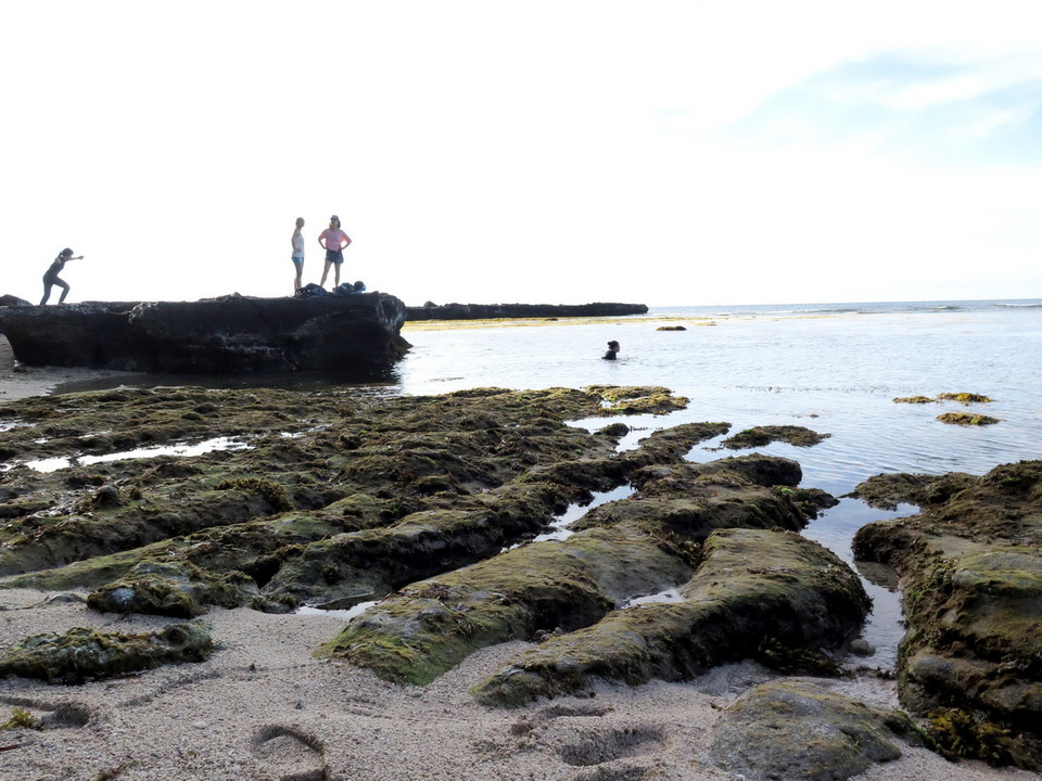 Những dấu tích nham thạch dưới đáy biển lộ thiên khi thủy triều rút nhấp nhô với hình thù khá kỳ lạ. (Ảnh: Phước Ngọc/TTXVN) 