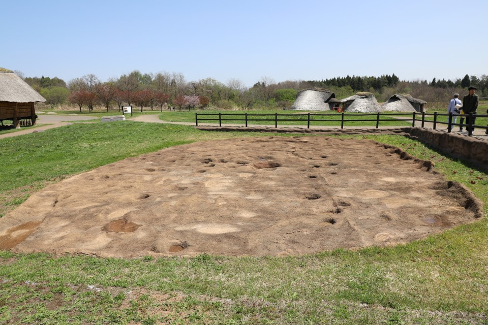 Ba nhà sàn được phục dựng dựa trên phát hiện những hố sâu có dấu hiệu dung để chôn những cột gỗ lớn. (Ảnh: Phạm Tuân/Vietnam+)