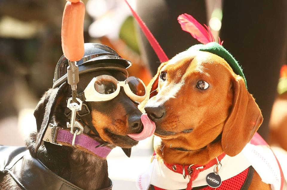 Đây là một phần trong Lễ hội bia Oktoberfest diễn ra vào ngày 19/9. (Nguồn: CCTVNews) 