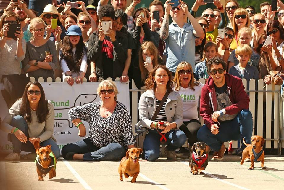 Rất nhiều trang phục đáng yêu như nhân viên cứu hộ, tài xế lái xe đã được khoác lên người những chú chó xúc xích tham gia cuộc thi. (Nguồn: CCTVNews) 