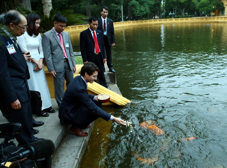  Thủ tướng Canada Justin Trudeau bên ao cá Bác Hồ. (Ảnh: Phạm Kiên/TTXVN)
