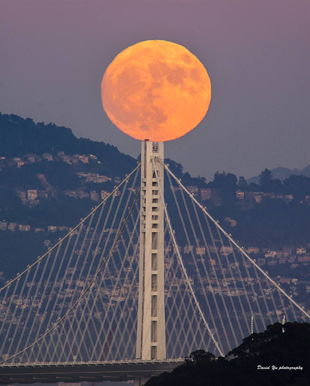 Siêu trăng ở San Francisco. (Nguồn: thecreatorsproject.vice.com)