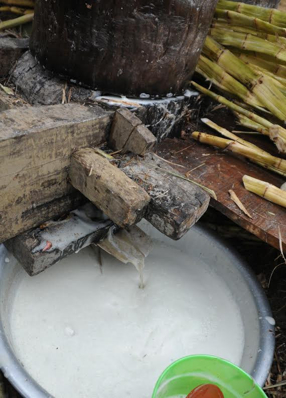  Nước mía chảy ra giữa khe hai trụ chính. (Ảnh: Nguyễn Công Hải/Vietnam+)