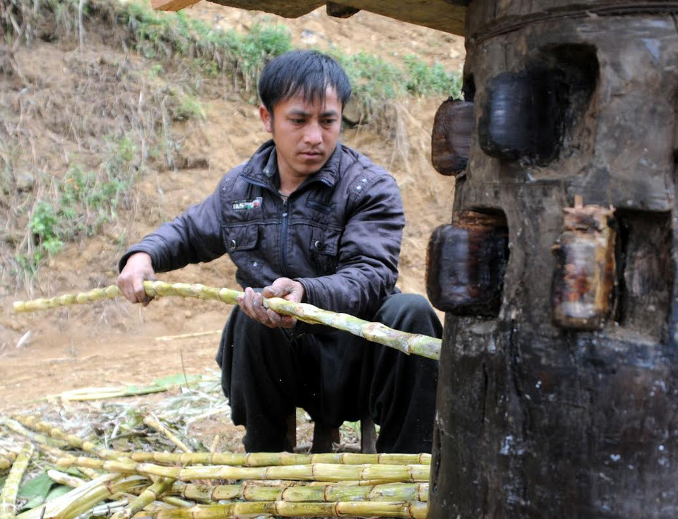 Khâu ép mía quan trọng nhất là “đầu vào.” (Ảnh: Nguyễn Công Hải/Vietnam+)