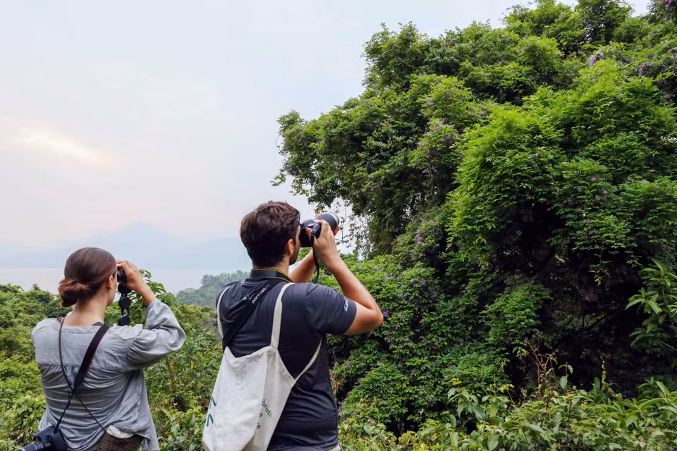 Du khách nước ngoài thích thú chiêm ngưỡng và chụp lại vẻ đẹp quyến rũ của loại hoa thàn mát. (Ảnh: Trần Lê Lâm/TTXVN)