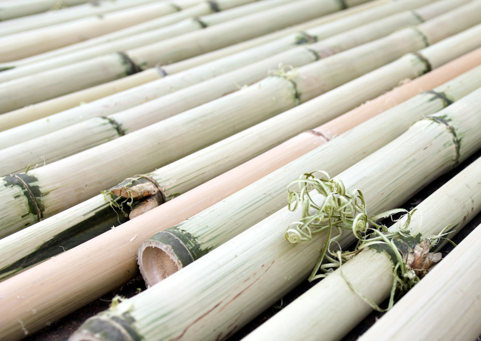 Tre để làm chuồn chuồn phải là tre bánh tẻ, dẻo; tre phải cạo vỏ, phơi từ 2-3 tháng sau đó sấy khô để tránh ẩm mốc. (Ảnh: Doãn Đức/Vietnam+)