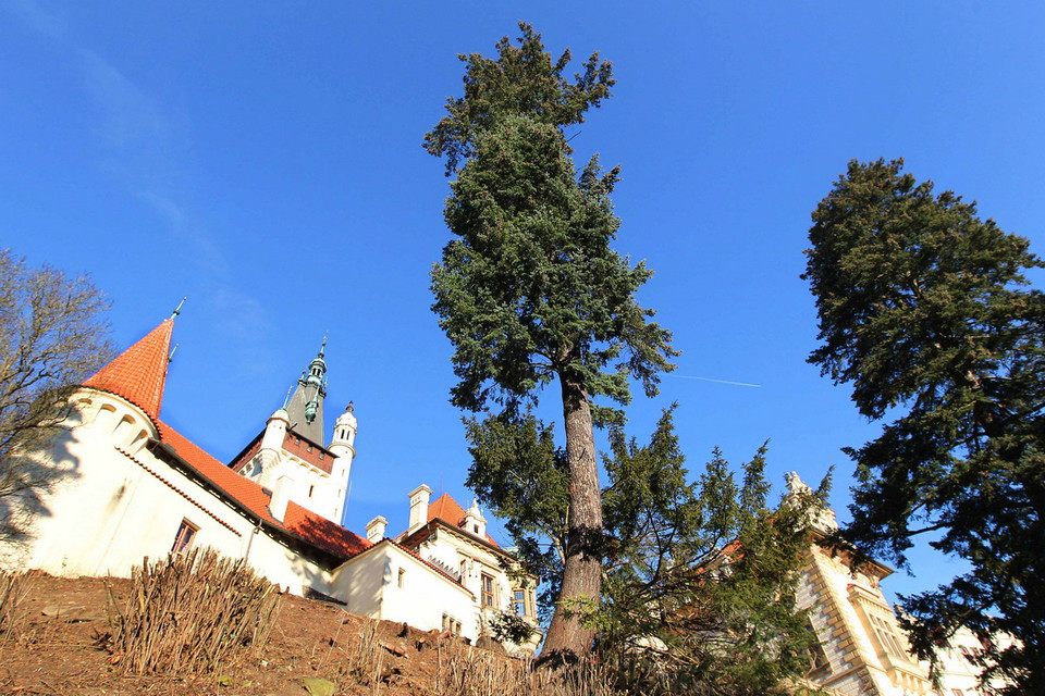 Ngày nay, Prague còn giữ nguyên vẹn hàng trăm cung điện, lâu đài, với những vòm tháp vàng nguy nga, tráng lệ. (Ảnh: Quang Hải/TTXVN) 