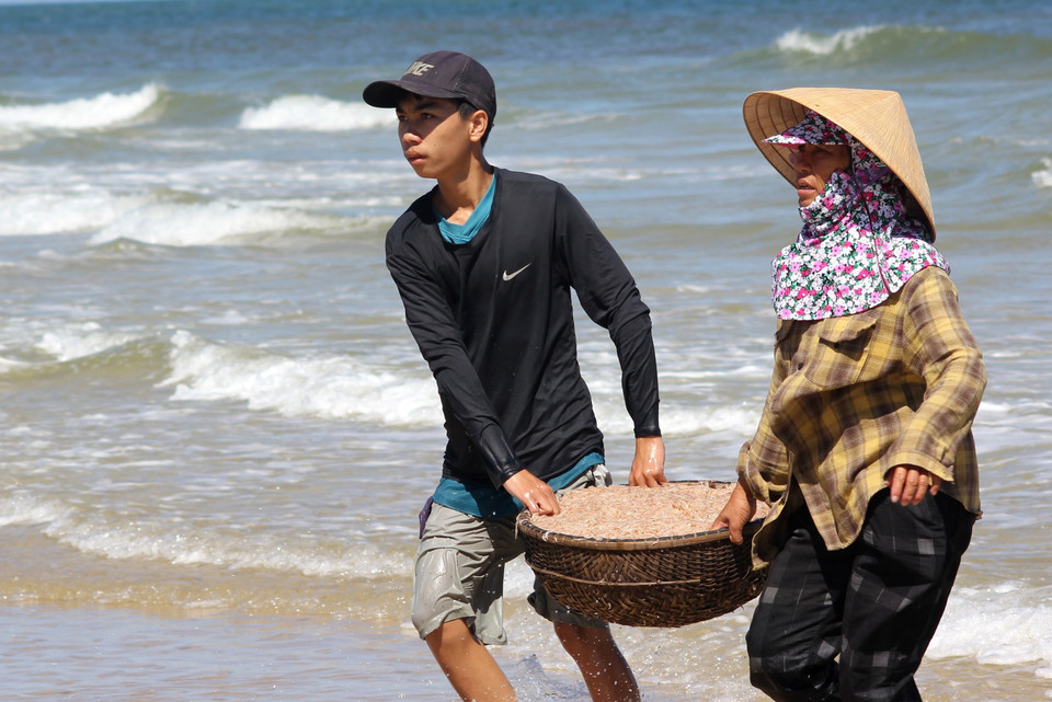 Ngư dân vận chuyển ruốc khai khác được ở trên biển vào bờ. (Ảnh: Nguyên Lý/TTXVN)