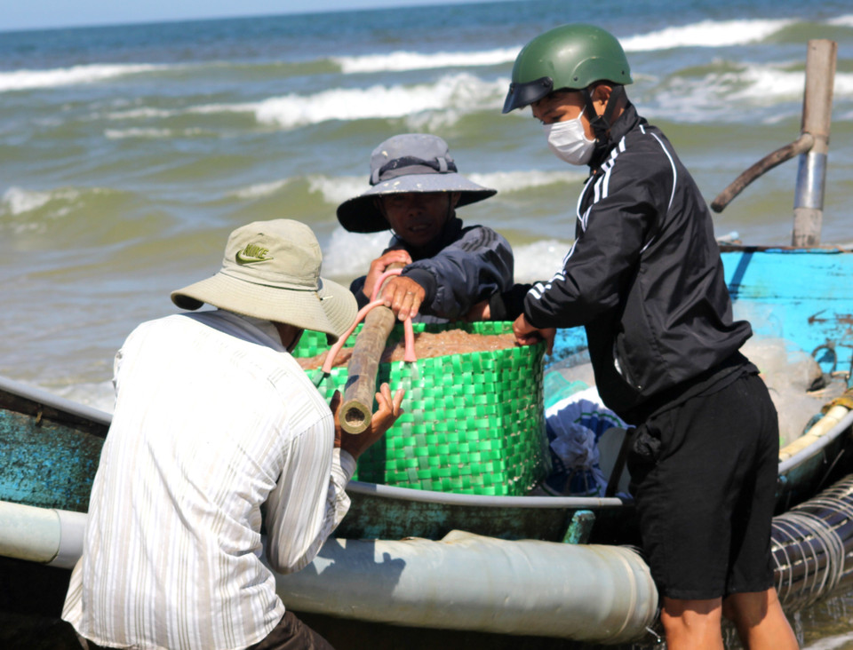 Thuyền khai thác ruốc cập bờ để thu gom ruốc mang đi bán. (Ảnh: Nguyên Lý/TTXVN)