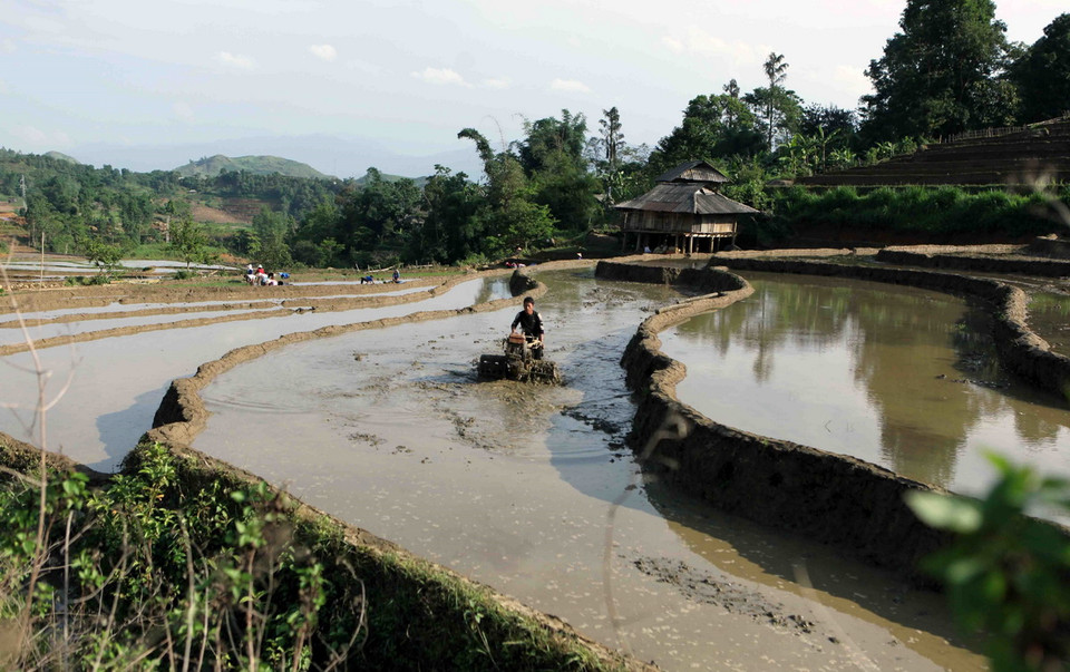 Nhiều hộ dân có điều kiện đầu tư máy cầy để phục vụ cho một vụ mùa mới. (Ảnh: Quý Trung/TTXVN)