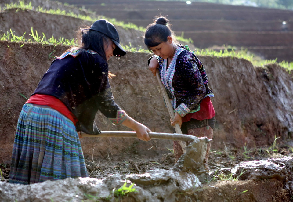 Người dân lấy nước vào ruộng chuẩn bị cho vụ lúa mới tại xã Tả Lèng, huyện Tam Đường tỉnh Lai Châu. (Ảnh: Quý Trung/TTXVN) 