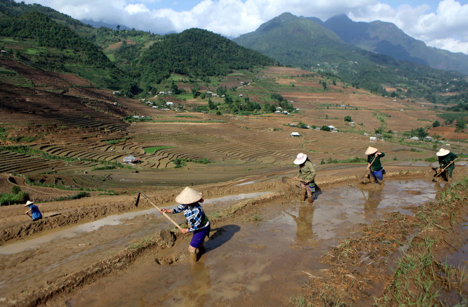 Vào dịp cuối tháng 5 và đầu tháng 6 Lai Châu bước vào mùa mưa, khi những cơn mưa tưới mát cho núi rừng Tây Bắc cũng là lúc đồng bào các dân tộc vùng cao bước vào một vụ mới. (Ảnh: Quý Trung/TTXVN)