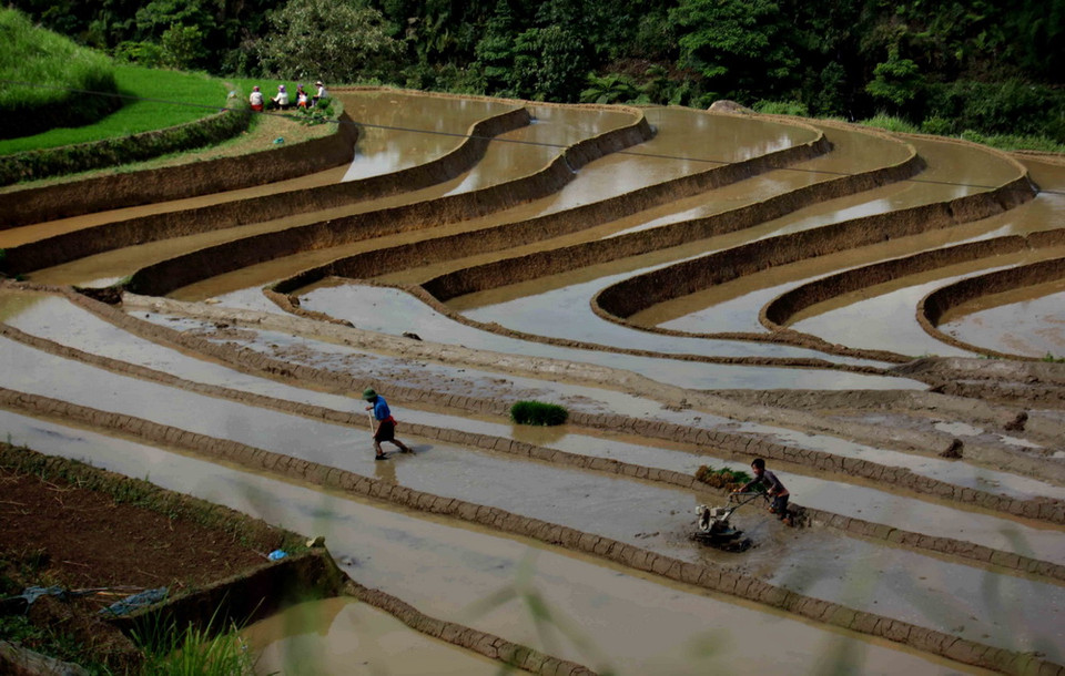 Những cơn mưa lớn mang dòng nước nguồn từ trên các ngọn núi đổ xuống những ruộng bậc thang tạo thành những vệt màu đa sắc, càng làm sống động bức tranh bình dị của xã Tà Lèng, huyện Tam Đường, tỉnh Lai Châu. (Ảnh: Quý Trung/TTXVN) 