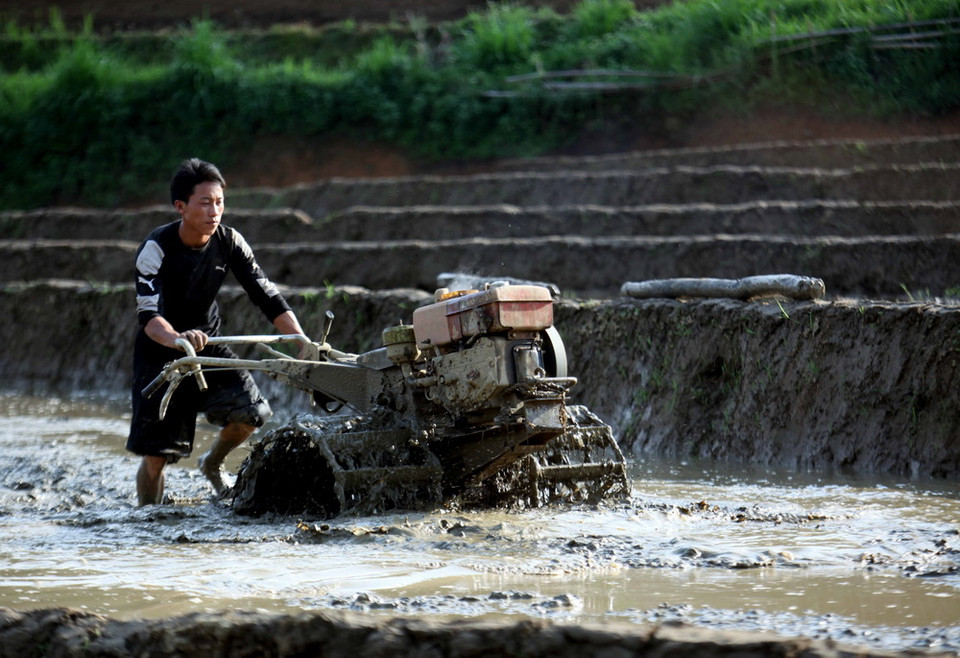 Nhiều hộ dân có điều kiện đầu tư máy cầy để phục vụ cho một vụ mùa mới. (Ảnh: Quý Trung/TTXVN) 