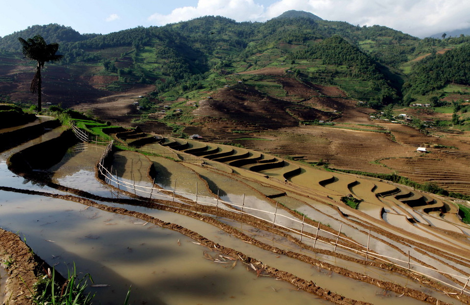 Để có những thửa ruộng bậc thang chạy dài uốn quanh sườn núi là công sức của bao đời của nhân dân các vùng núi cao. (Ảnh: Quý Trung/TTXVN)
