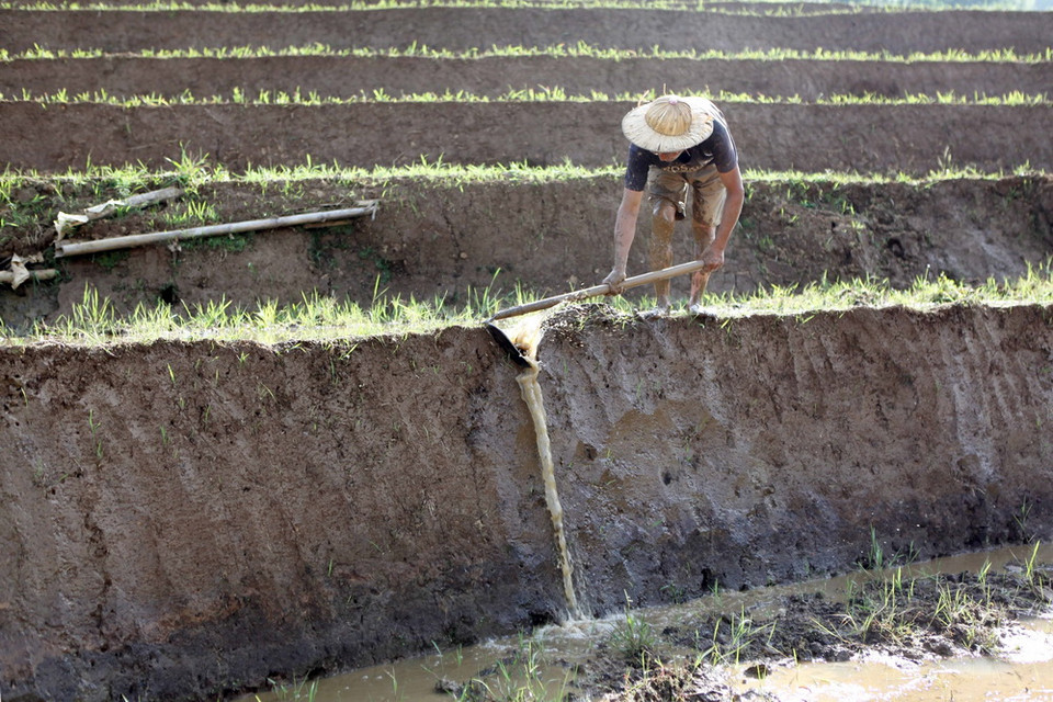 Người dân lấy nước vào ruộng chuẩn bị cho vụ lúa mới tại xã Tả Lèng, huyện Tam Đường tỉnh Lai Châu. (Ảnh: Quý Trung/TTXVN)