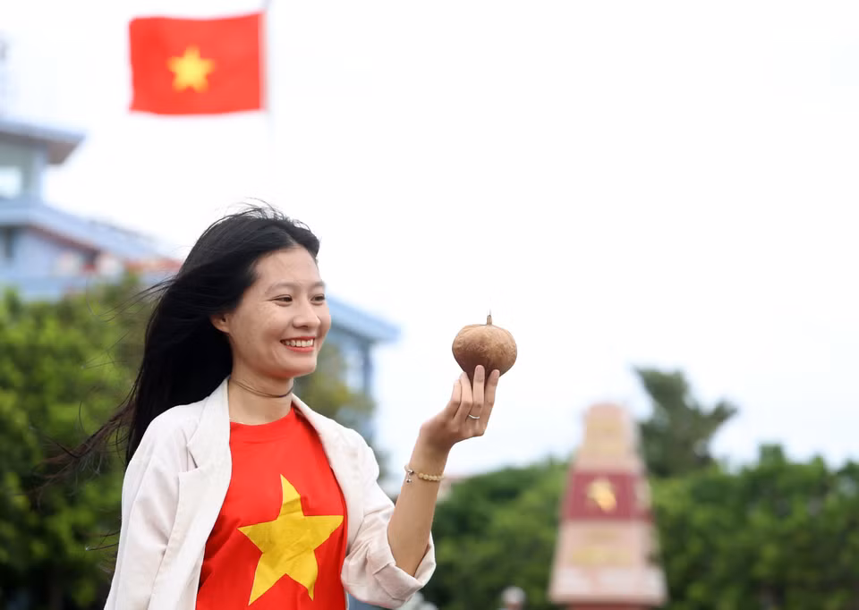 Quả bàng vuông khô - một món quà đặc biệt của Trường Sa. (Ảnh: Hồng Đạt/TTXVN)