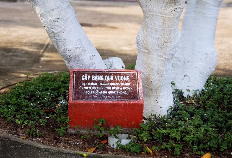 Bia lưu niệm ghi dấu cây bàng vuông được Đại tướng Phùng Quang Thanh, cố Bộ trưởng Bộ Quốc phòng trồng ở trung tâm đảo Trường Sa, quần đảo Trường Sa. (Ảnh: Hồng Đạt/TTXVN)