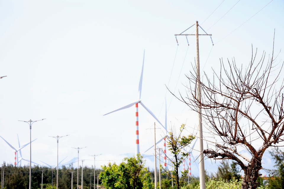 Với nhiều du khách, cánh đồng điện gió Phương Mai tại xã Cát Tiến, thành phố Quy Nhơn là một điểm đến "sống ảo" cực "chất." (Ảnh: Ngọc Duy/Vietnam+)