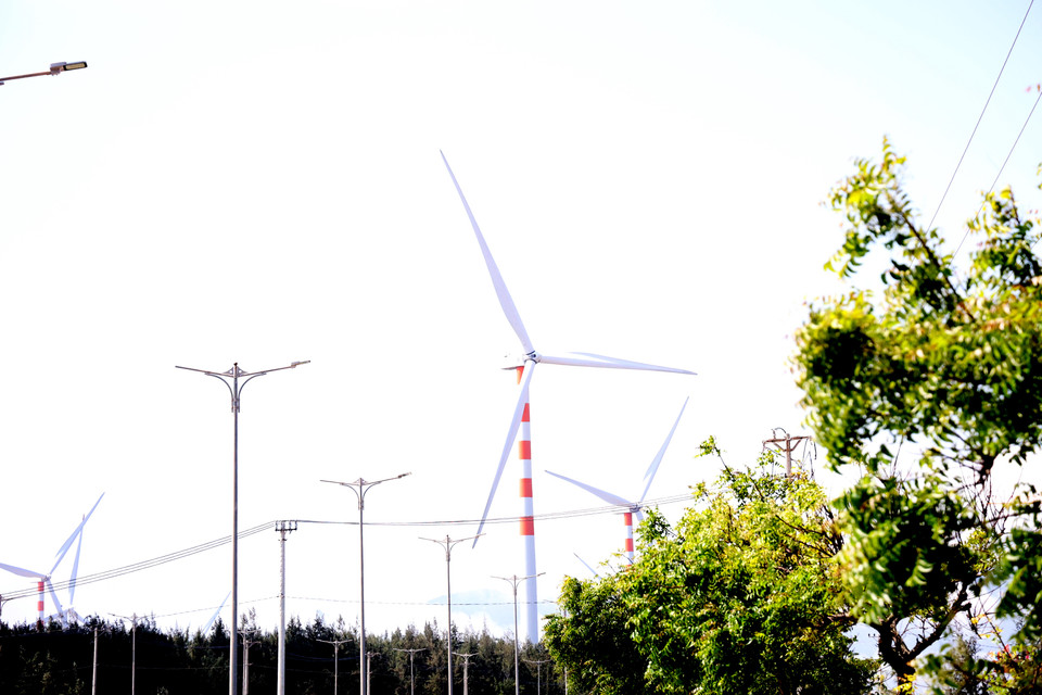 Những "cối xay gió" tạo nên một "background" ấn tượng cho mỗi khung hình. (Ảnh: Ngọc Duy/Vietnam+)