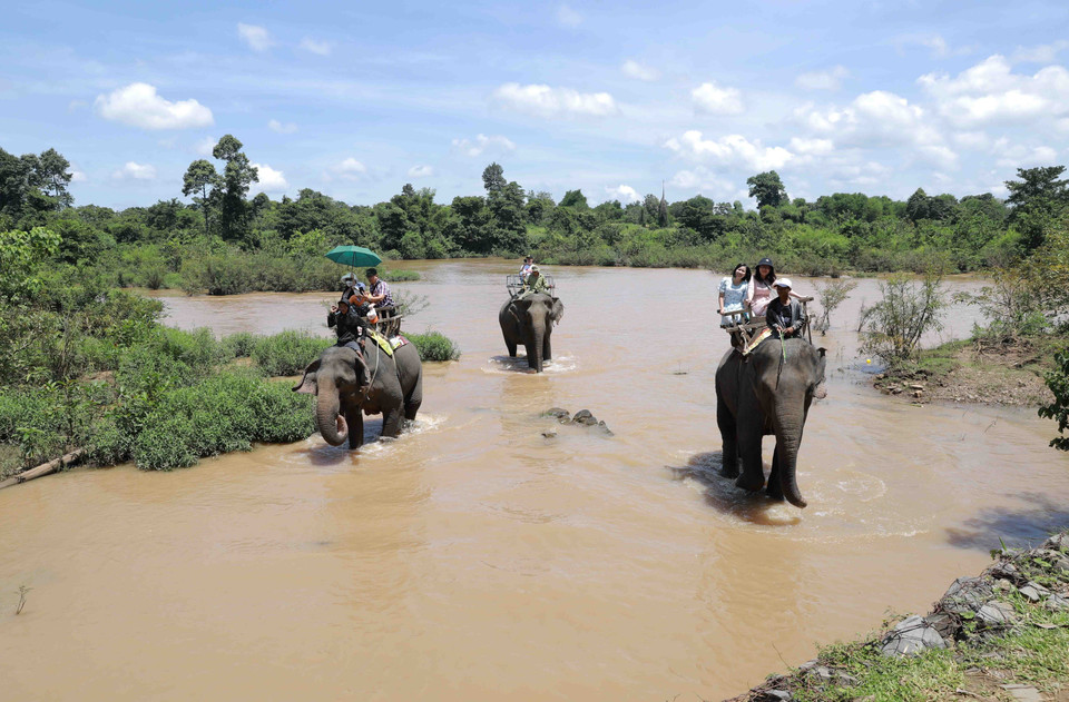 Du khách cưỡi voi ở khu du lịch Buôn Đôn. (Ảnh: Vũ Sinh/TTXVN)