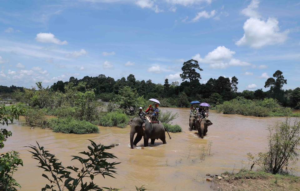 Du khách tại khu du lịch Buôn Đôn. (Ảnh: Vũ Sinh/TTXVN)