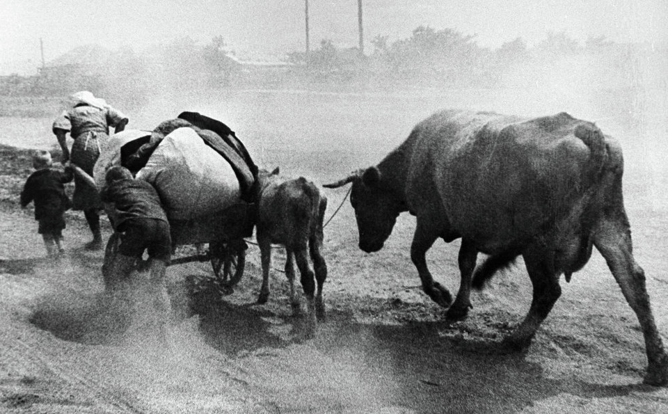 Người dân sơ tán để thoát khỏi kiểm soát của Đức quốc xã. (Nguồn: Sputniknews)