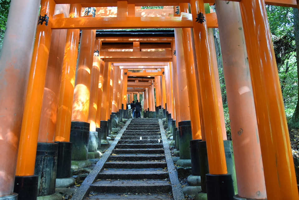 Cổng Torii giúp cho chặng đường leo núi trở nên thú vị hơn. (Ảnh: Nguyễn Tuyến/Vietnam+)