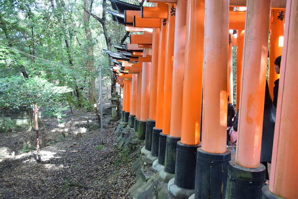 Các cổng Torri được dựng san sát theo đường lên núi. (Ảnh: Nguyễn Tuyến/Vietnam+)