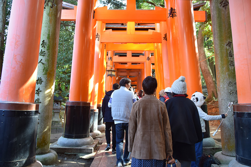 Dãy cổng Torii đầu tiên của 1.000 cổng Torri tại đền Fushhimi Inari. (Ảnh: Nguyễn Tuyến/Vietnam+)