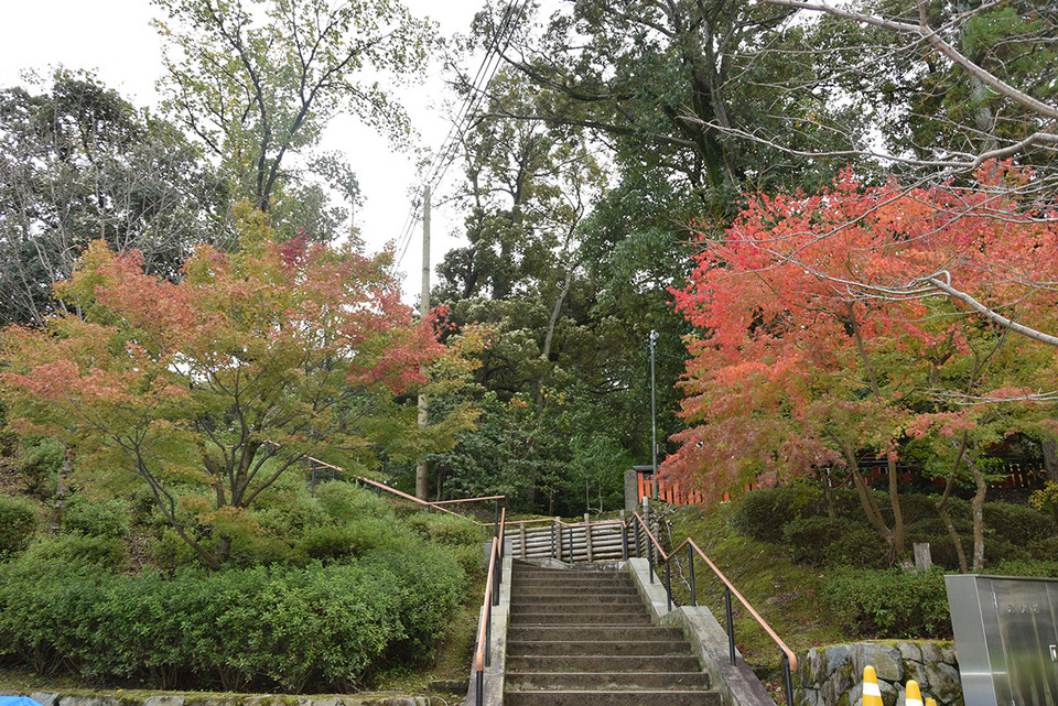 Mùa Thu gõ cửa đền Fumishi Inari. (Ảnh: Nguyễn Tuyến/Vietnam+)