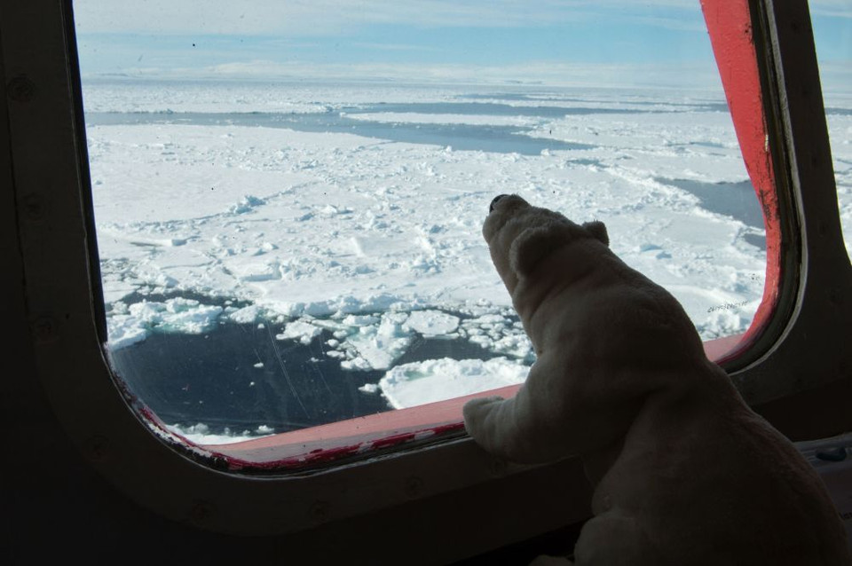 Cầu nối của tàu phá băng NS Yamal. (Nguồn: Sputniknews)