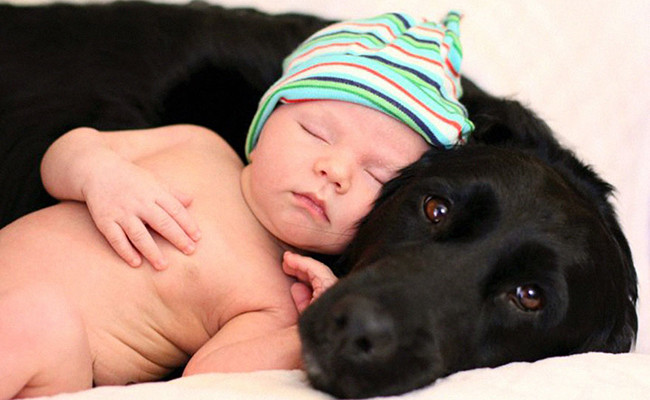 Những đôi mắt. (Nguồn: Diply.com)