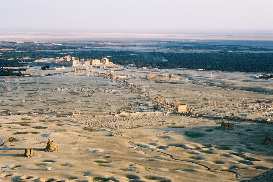 Thành phố cổ Palmyra có diện tích khoảng 50 ha. (Nguồn: AFP)
