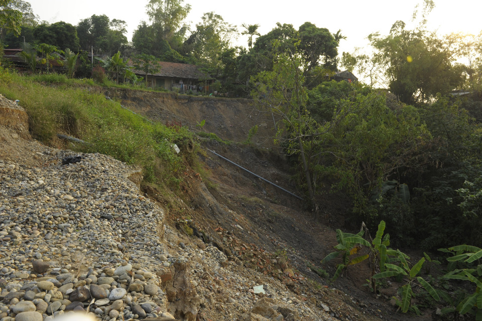 Vị trí sạt lở thuộc thôn Trung Hà, xã Thái Hòa (huyện Ba Vì) có xu hướng tiếp tục phát triển mở rộng tiến sát về phía chân đê Hữu Hồng đe dọa tài sản, tính mạng của người dân. (Ảnh: Mạnh Khánh/TTXVN)