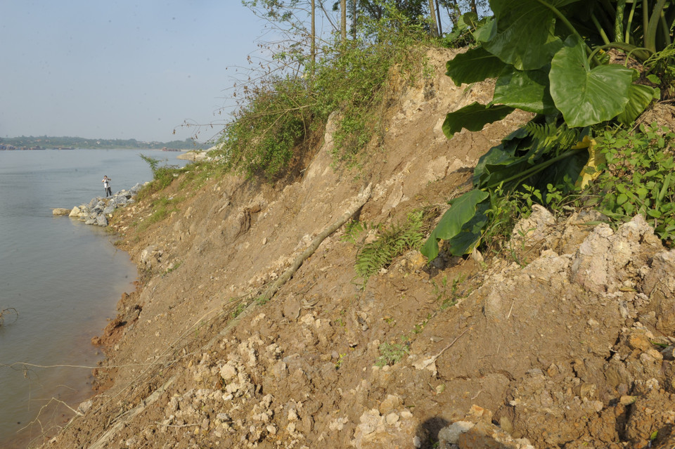 Khu vực sạt lở nghiêm trọng đoạn qua thôn Khê Thượng xã Sơn Đà (huyện Ba Vì) tạo thành vách đứng cao hàng chục mét tính từ mép nước sông Đà, đe dọa tính mạng và tài sản của người dân. (Ảnh: Mạnh Khánh/TTXVN)