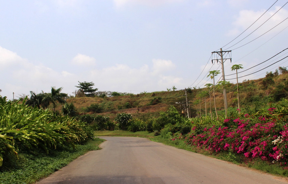  Các lối đi trong bãi chôn lấp rác thải trước đây nay được phủ một màu xanh mát cùng với nhiều loại cây cảnh. (Ảnh: Xuân Dự/TTXVN)