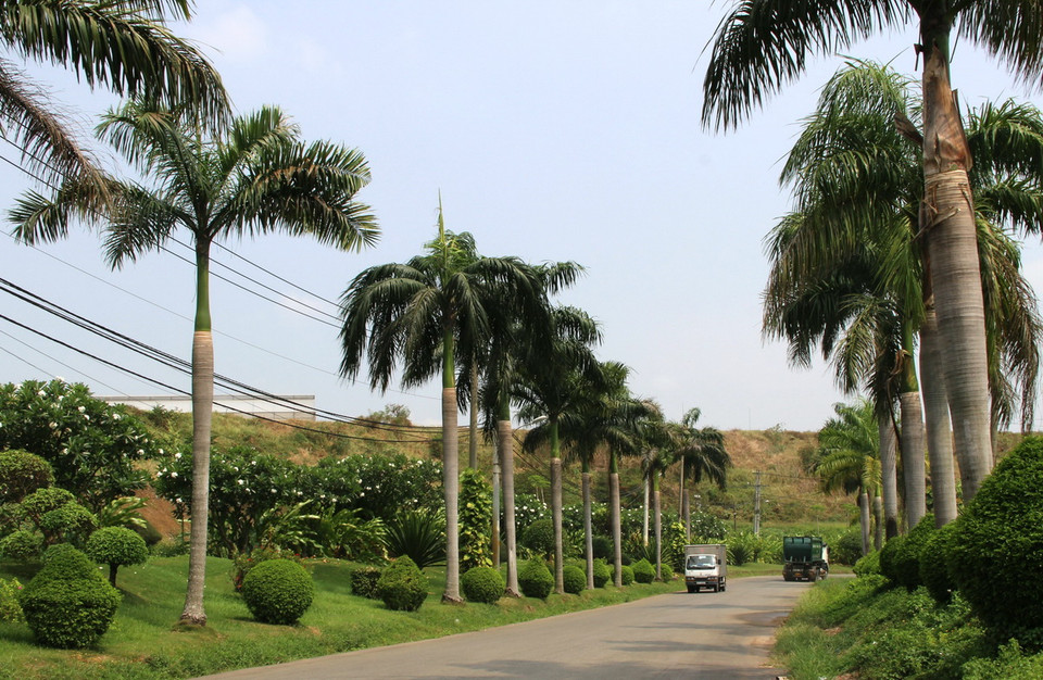  Các lối đi trong bãi chôn lấp rác thải trước đây nay được phủ một màu xanh mát cùng với nhiều loại cây cảnh. (Ảnh: Xuân Dự/TTXVN)