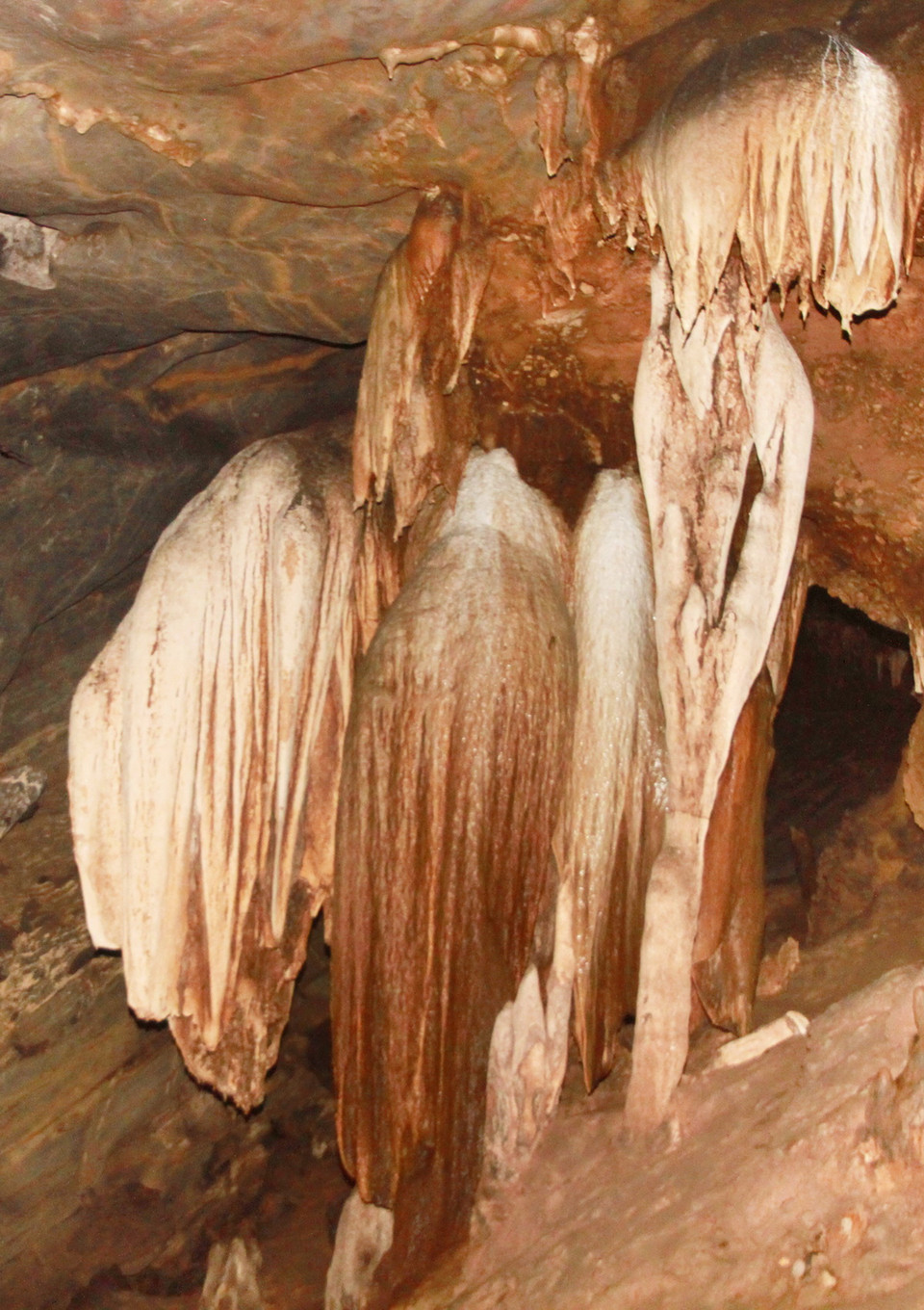 Nhiều khối thạch nhũ trong hang động Brai đẹp lung linh, huyền ảo. (Ảnh: Hồ Cầu/TTXVN) 