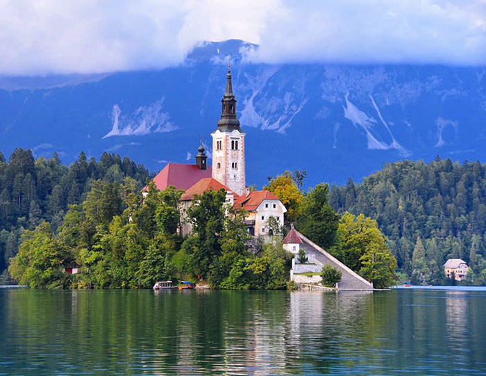 (Nguồn: boredpanda)