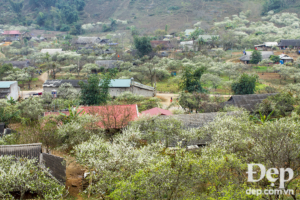 Vẻ đẹp mà ít vùng đất nào có được.