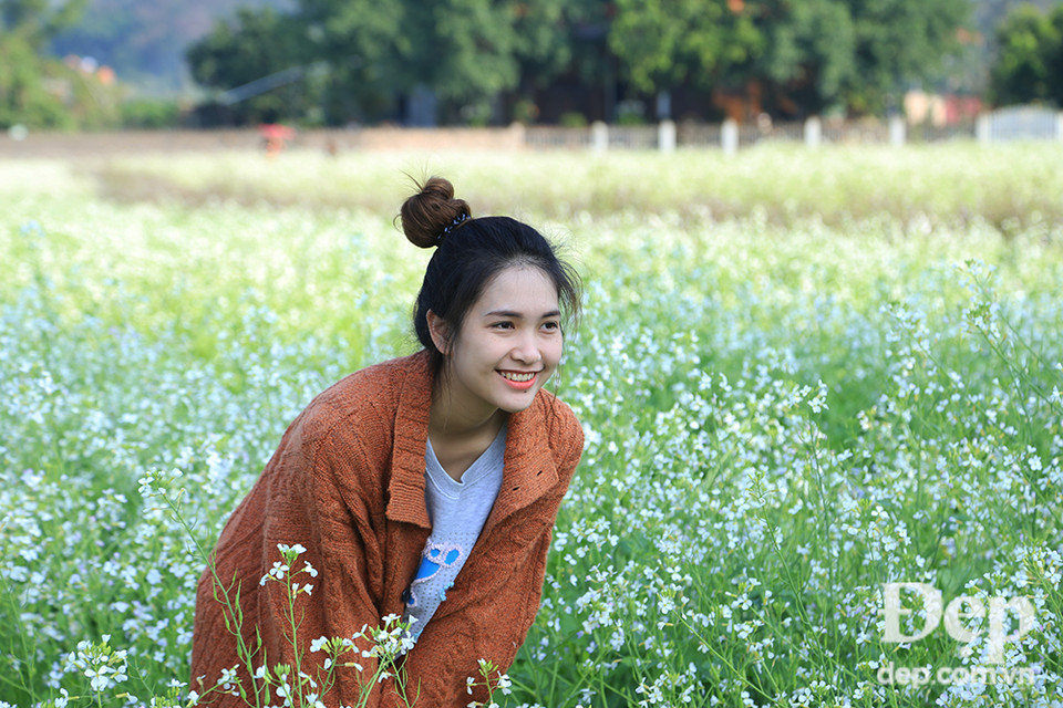 Thỏa sức chụp hình với những cánh đồng cải trắng, tím, hồng trải dài tít tắp.