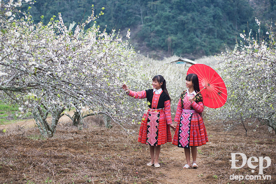 Châu Mộc đẹp như một Nàng thơ mỗi độ Xuân về...