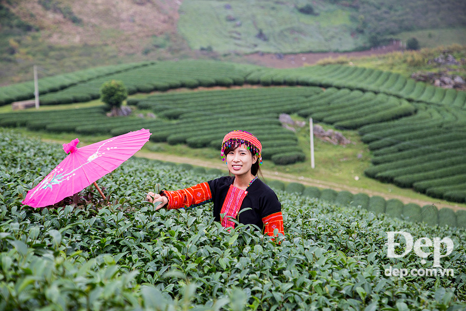 Bạn cũng có thể thuê những bộ váy áo truyền thống của người Hmong để chụp hình.