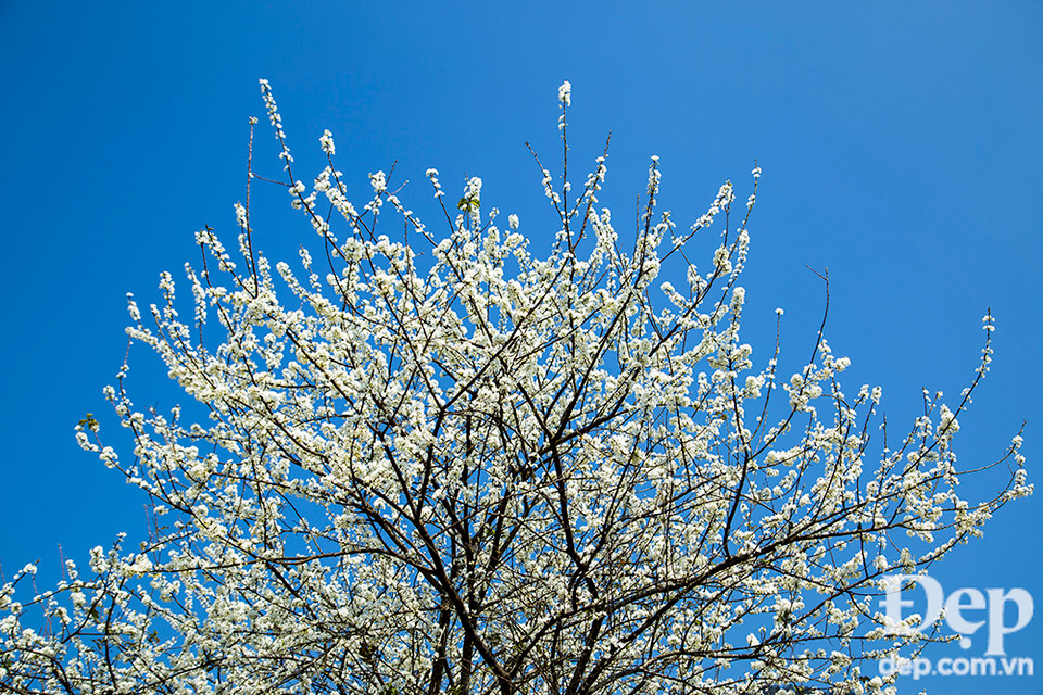 Còn chần chừ gì nữa mà không chuẩn bị hành trang cho mình để lên đường đi Mộc Châu.