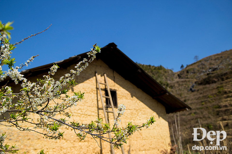 Mộc Châu hay còn gọi Châu Mộc là cao nguyên bốn mùa xanh mát nằm cách Hà Nội hơn 180km.