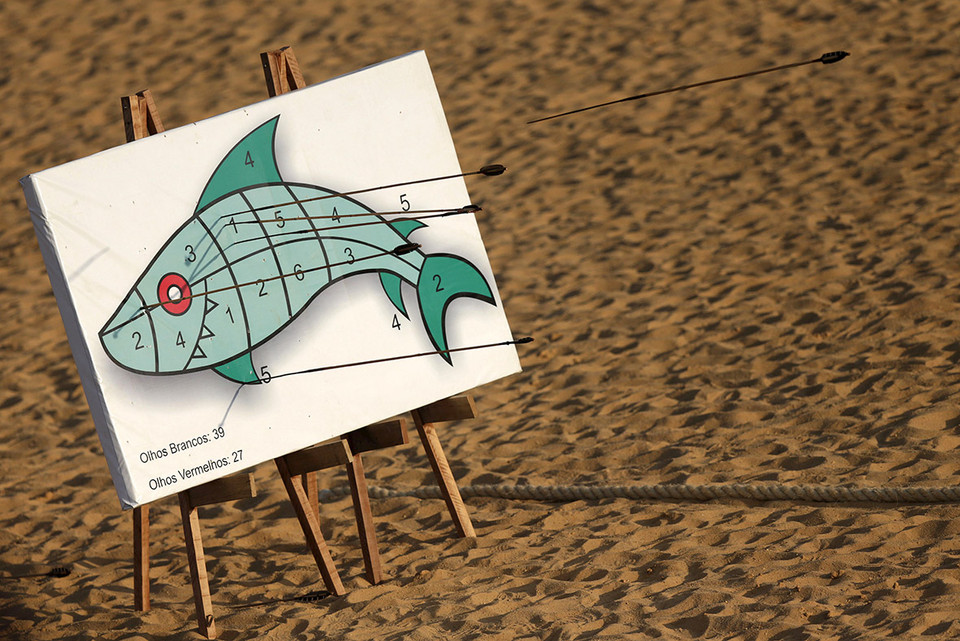 Những mũi tên bay về mục tiêu hình con cá trong phần thi bắn cung. (Nguồn: ibtimes.co.uk)